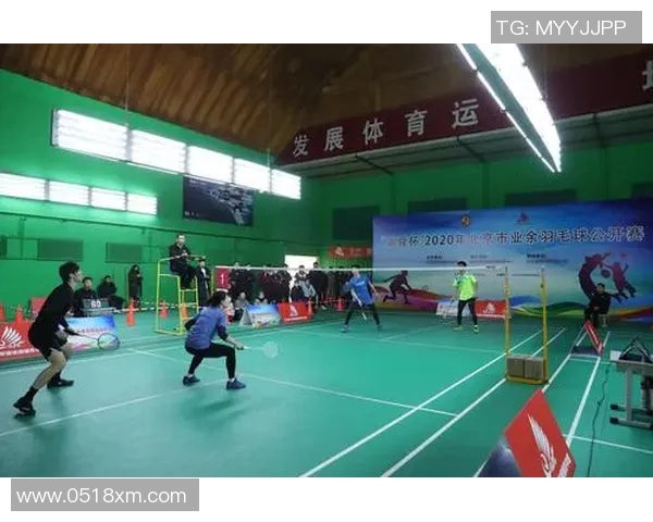 北京羽毛球队实力深度剖析与对手比较的独特视角