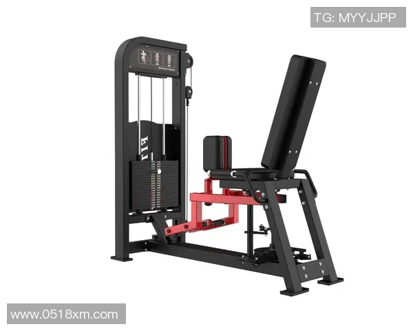 男士常用健身器材推荐与训练搭配